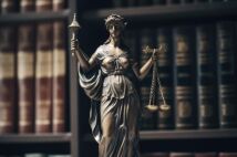 litigation support